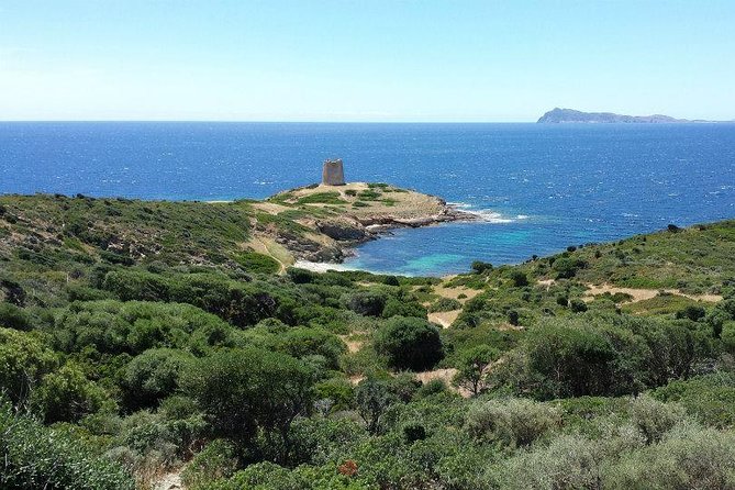 Cagliari: Full-Day Fishing Tourism Private Excursion From Chia - Experience