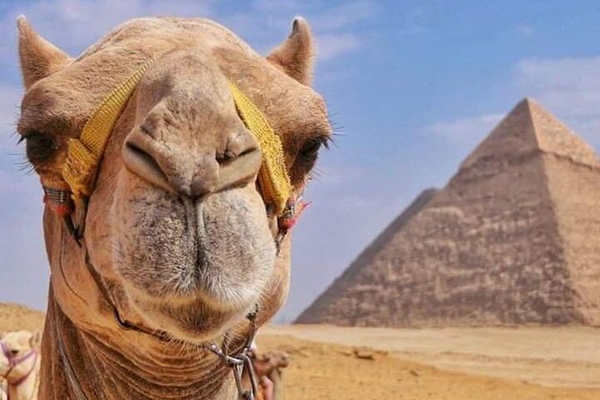 Came or a Horse Ride at the Pyramids of Giza Area - Cancellation Policy Details