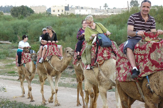 Camel Agadir - Additional Information
