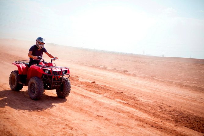 Camel Ride and Quad Bike in Palmeraie - Inclusions and Exclusions
