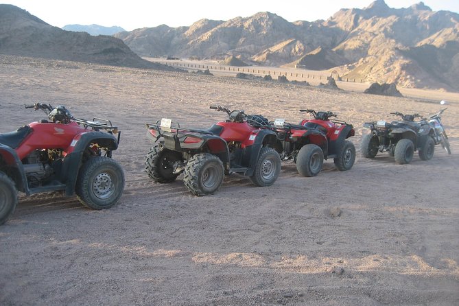 Camel Ride + Blue Hole Snorkeling + Quad Bike Tour With Lunch From Dahab - Pricing