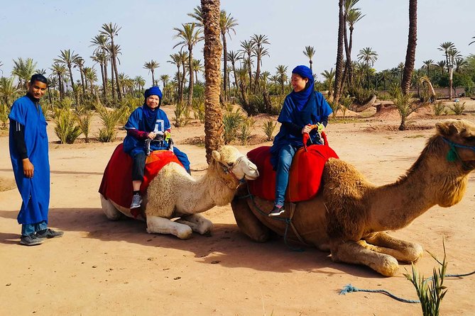 Camel Ride Marrakech - Reviews