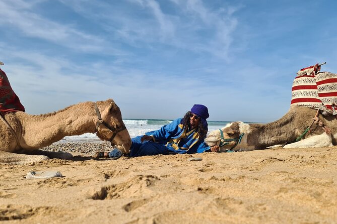 Camel Ride on the Beach From Awrir or Tamraght - Children Participation Details
