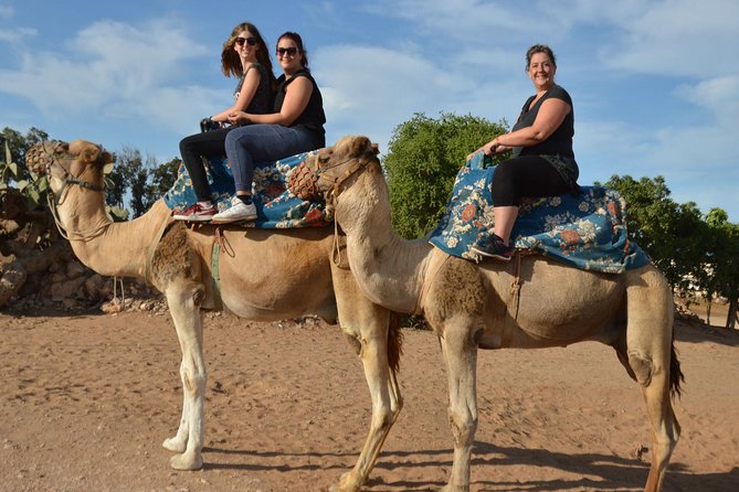 Camel Riding in Agadir for Cruise Ship Passengers - What Guests Loved