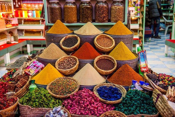Casablanca Shore Excursion: Private Marrakech Tour - Lunch at Local Restaurant