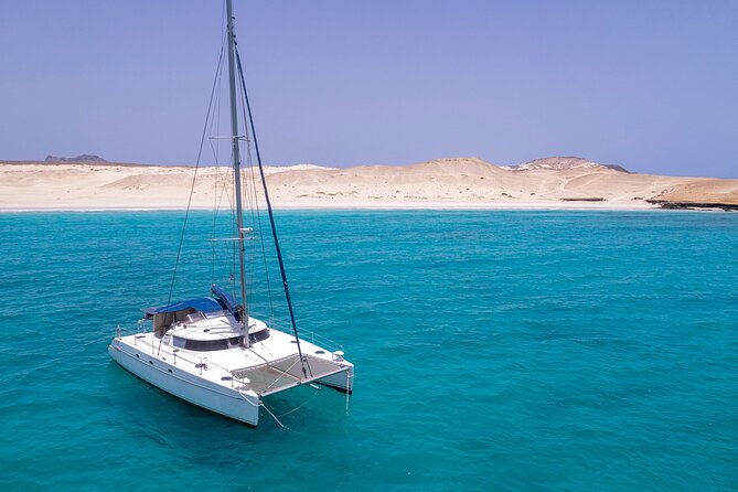 Catamaran Sailing Tour and Whale Watching in Boa Vista - Frequently Asked Questions