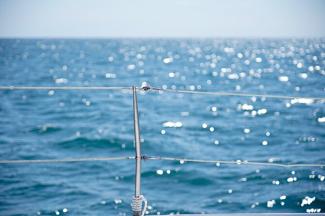 Catamaran Tour With Swimming Stop in Malaga - The Sum Up