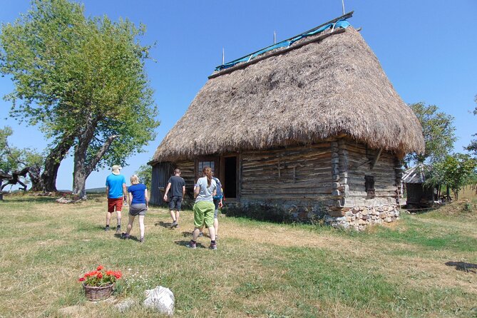 Cave, Hike, Bike and Explore the Western Carpathians,Transylvania,Romania - What To Expect & Additional Info