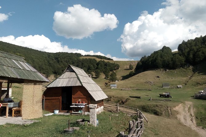 Cheese Farm Tour in the Katun - Meeting and Pickup Information
