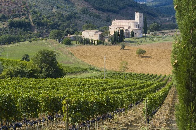 Chianti VINARIUM Tour From Rome - Cancellation Policy and Pricing