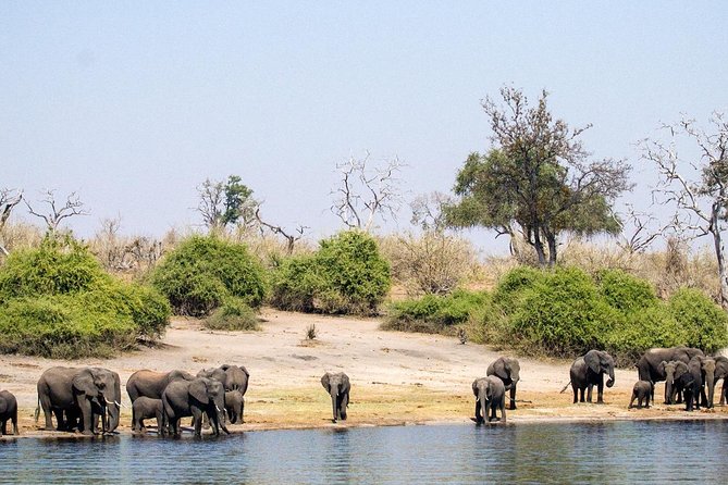 Chobe Day Trip To Botswana From Livingstone - The Sum Up