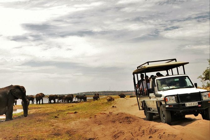 Chobe Extended Day Trip From Victoria Falls - Zimbabwe - Booking Information