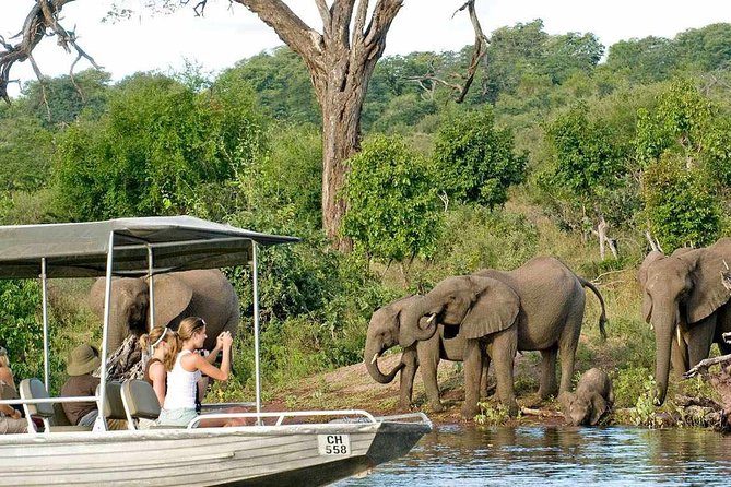 Chobe Full Day Trip - Booking Information