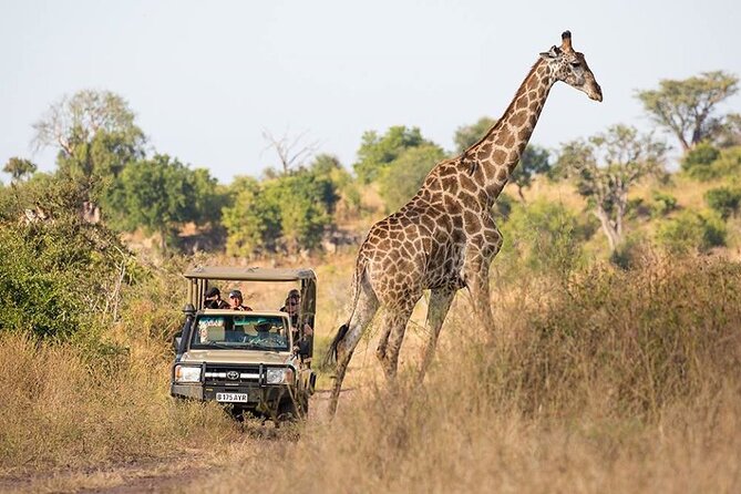 Chobe Full Day Trip - Customer Reviews