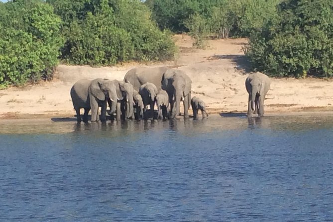 Chobe Full Day Trip - Operator Directions