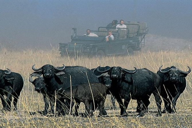Chobe Full Day Trip From Victoria Falls - Customer Reviews