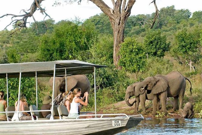 Chobe Full Day Trip - What to Expect
