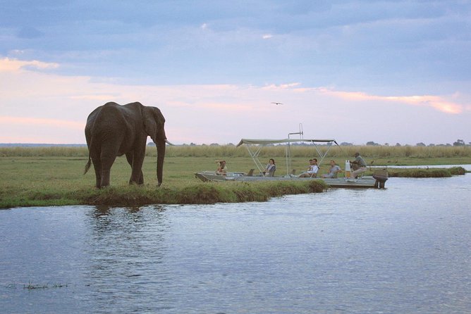 Chobe Half Day Trip - Frequently Asked Questions