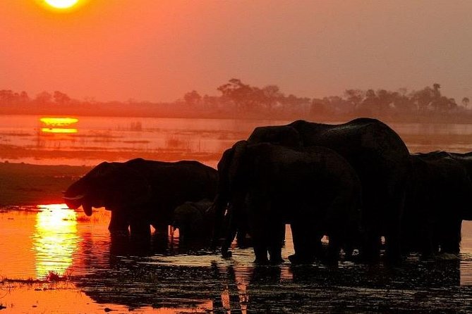Chobe National Park Camping Safari From Victoria Falls (2 Days and 1 Night) - Frequently Asked Questions