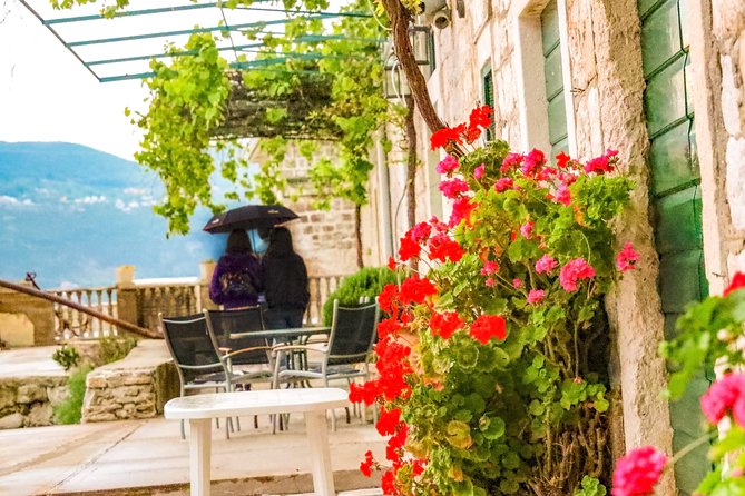 Church of St. Mary 1774, Church of St. Roko, Tivat, Rose Full Day Tour From Kotor - Pricing Details