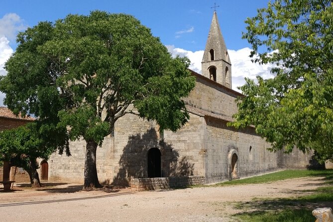 Churches of Provence & French Countryside Private Tour - Customer Reviews