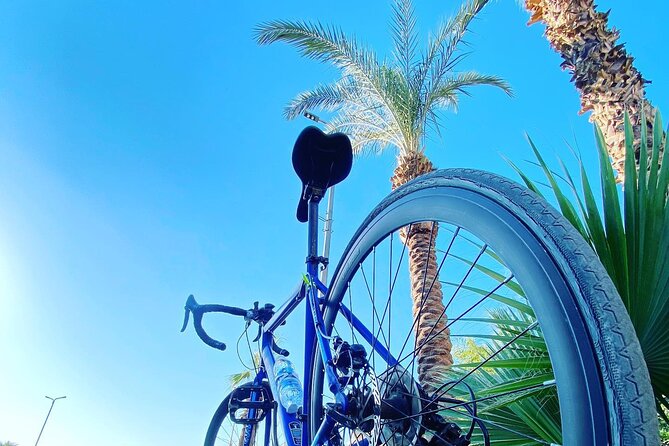 City Tour in Aswan by Bicycle - Recommended Snack Break Locations