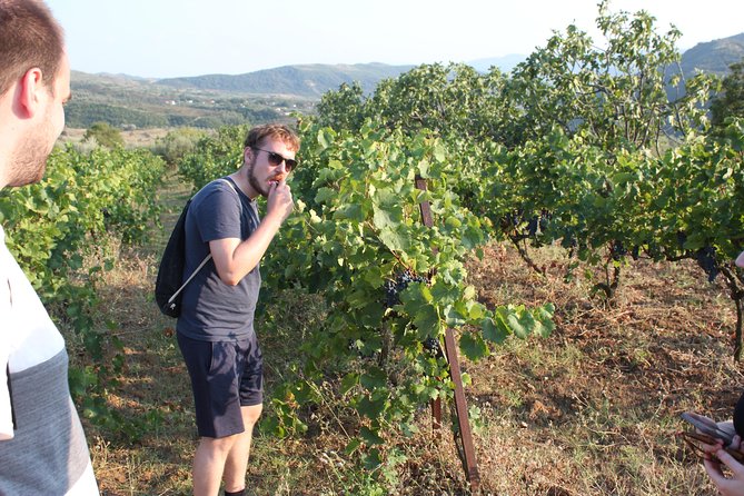 Classing Wine Tasting Tour by Berat City Tours - Additional Considerations