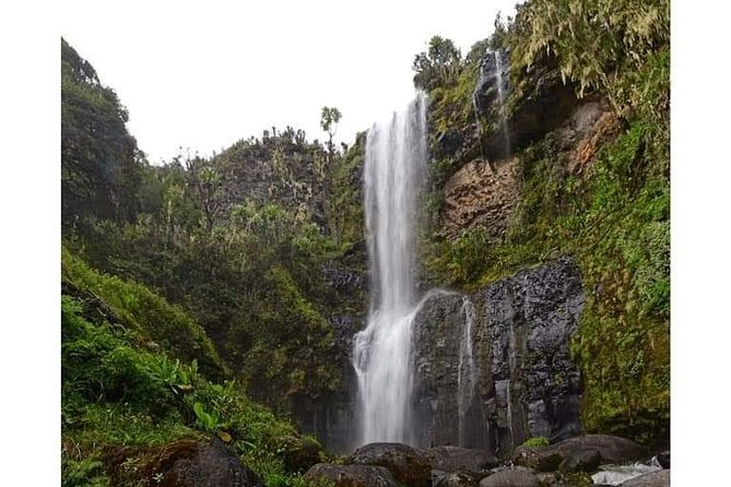 Climbing Mount Kenya 5 Days Via Chogoria Route - Acclimatization Strategies at Altitude