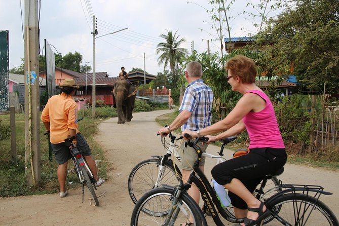 Colors of Ayutthaya Full-Day Bike Tour - Frequently Asked Questions