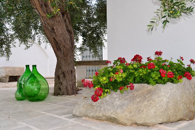 Cooking Classe in a Typical Farmhouse Surrounded by Olive Trees - Directions and End Point