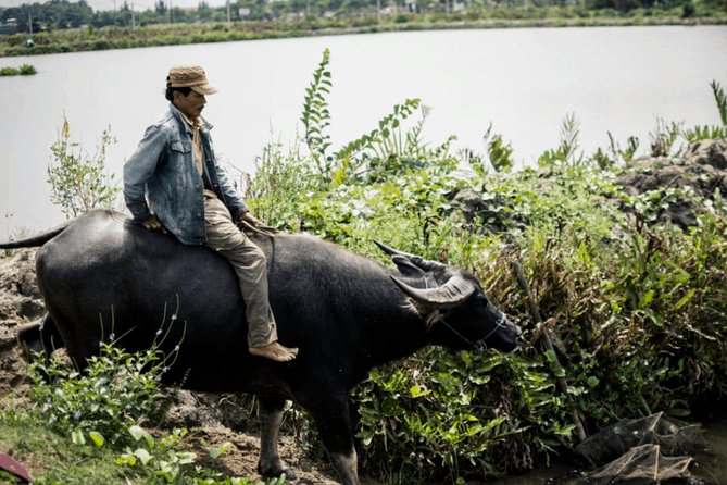 Countryside and Villages Tour By Motorbike - Customer Testimonials