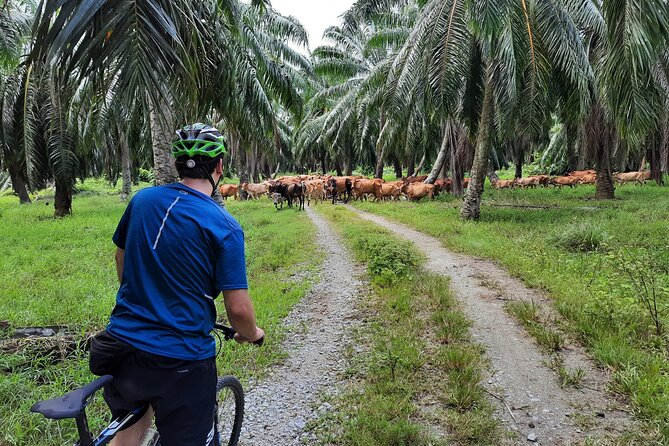 Countryside Cycling Tour by Matahari - Customer Reviews