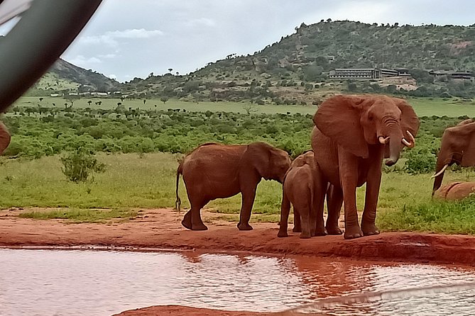 Cream Of Kenya Safari - Exclusions and Logistics