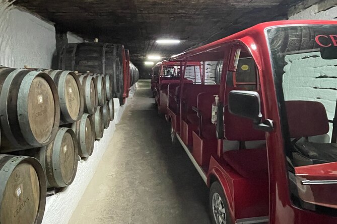 Cricova Cellars - Visit and Tasting Session - Cancellation Policy