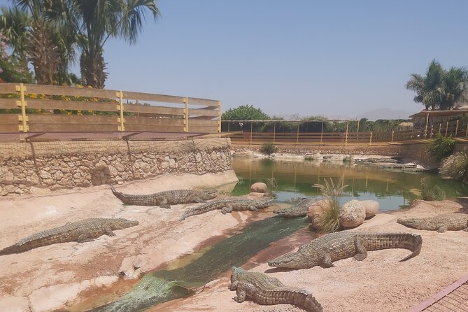 Crocodil Park Transport and Crocoparc Ticket - Note for Readers