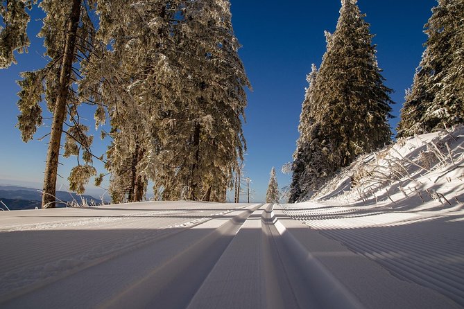 CROSS-COUNTRY SKIING: Winter Trip to Bohemia Mountains - Booking Confirmation
