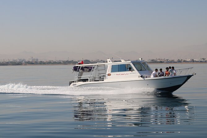 Cruises to Daymaniyat & Snorkeling - Operator Responses