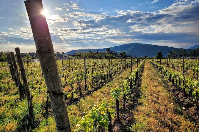 Cycling in Franciacorta and Lake Iseo, Single Private Tour - Frequently Asked Questions