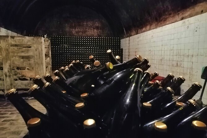 Cycling Vineyards of Bairrada Route, Full Day From Coimbra - Activity Schedule
