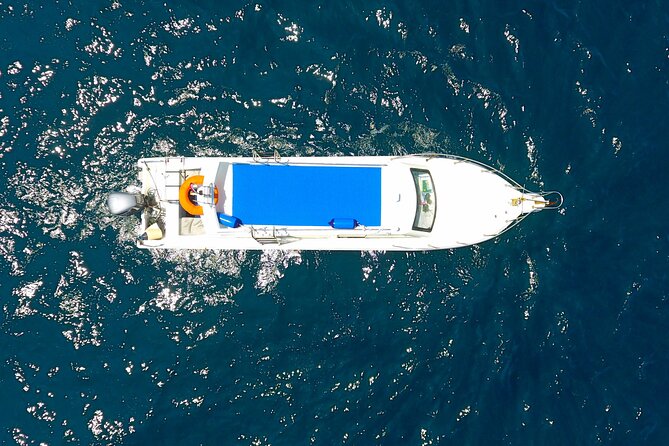 Daily Trip Highlight Komodo Archipelago by Speed Boat - Customer Reviews and Feedback