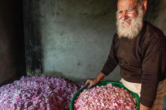 Damascus Roses - Discover the Secrets of Al Jabal Al Akhdhar - Reviews Summary