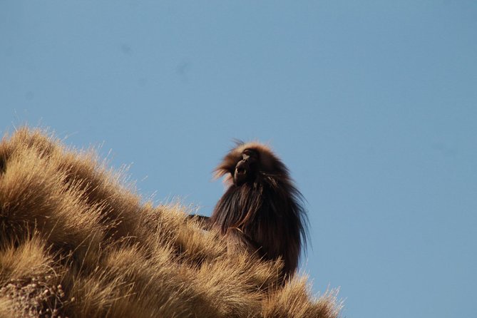Day Hike Around Lalibela - Safety Tips