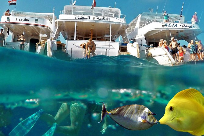 Day Scuba Diving From Marsaalam - Cancellation Policy and Reservations