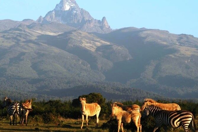 Day Tour To Mt. Kenya - Pickup Information