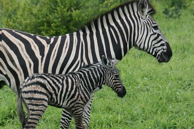 Day Trip - Lake Nakuru National Park Tour From Nairobi - Directions to Lake Nakuru National Park