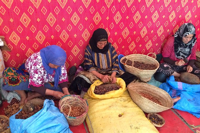 Day Trip to Essaouira Mogador and Argan Tress Forests - Meeting and Pickup Locations