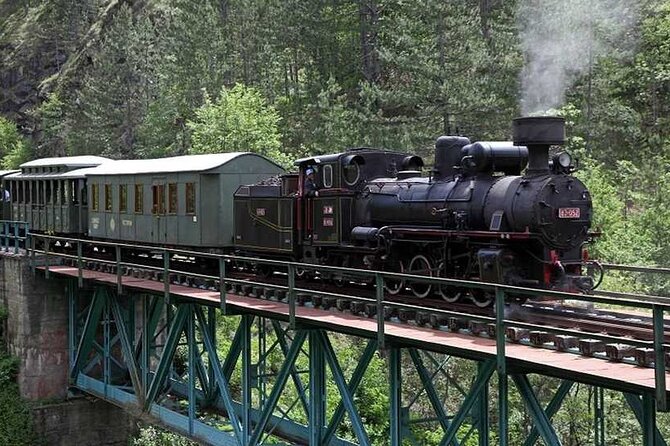 Day Trip to Mokra Gora (Sargan 8 Railway, Wooden Town and House on Drina River) - Additional Information