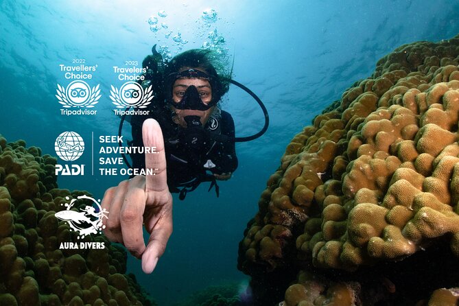 Daymaniyat Island: 2-Dive Scuba Adventure! - Island Exploration and Lunch Break