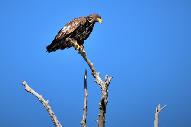 Discover Danube Delta From Bucharest - Private Tour for 5 Days - Cancellation Policy Overview