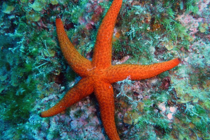 Discover Scuba Diving - Equipment